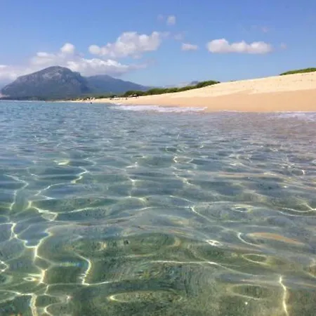 Indipendente Osala * אורוסיי